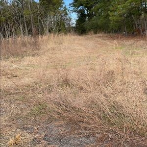 Meet your Posher, Wesley